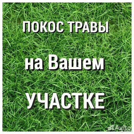 Покос травы триммером stihl