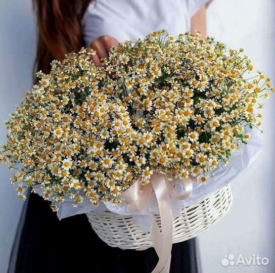 Букеты. Доставка ромашек