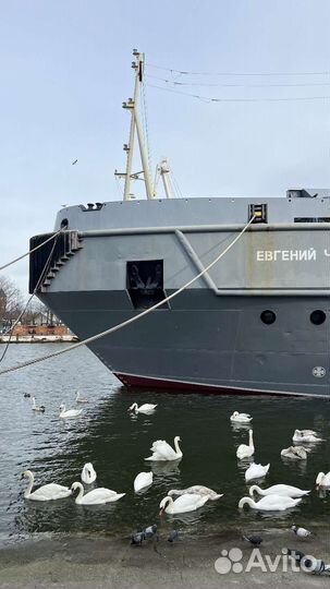 Светлогорск Янтарный Балтийск