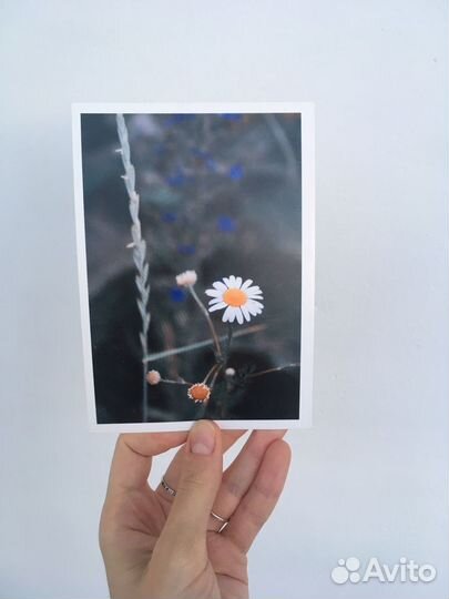 Фотооткрытки