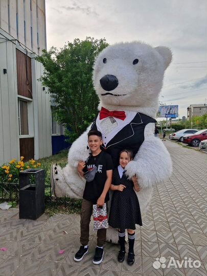 Белый Мишка и Розовый экспресс поздравление 03