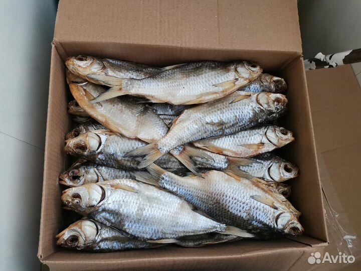 Вобла весенняя доставлю сегодня