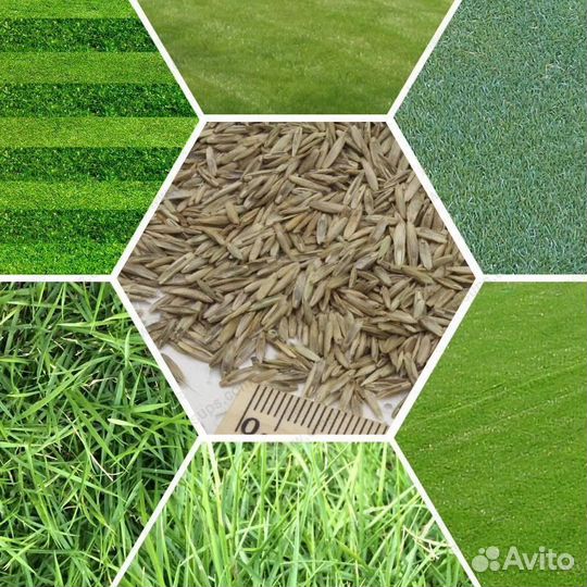 Разнотравие семена