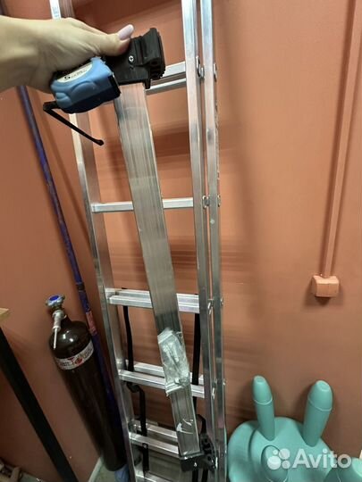 Леница многопозиционная