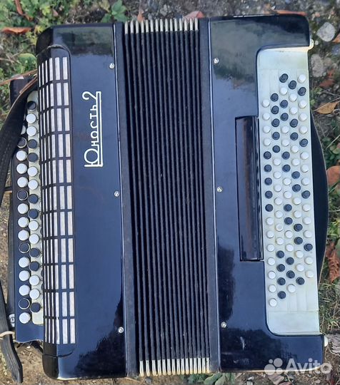 Баян юность2