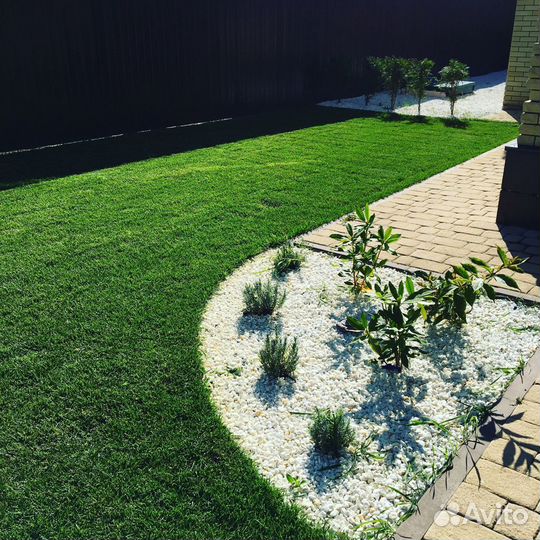 Рулонный газон