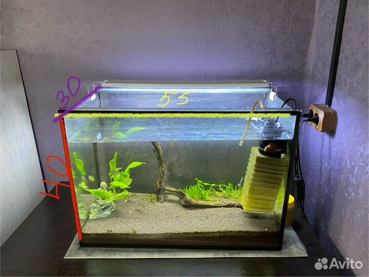 Аквариум с рыбками