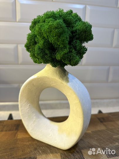 Стабилизированный мох фигура статуэтка