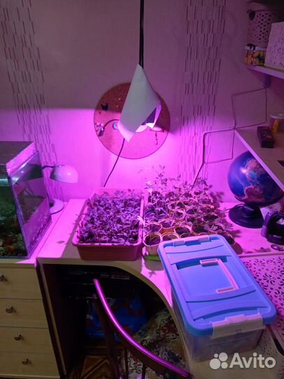 Фитолампа для рассады 30Вт