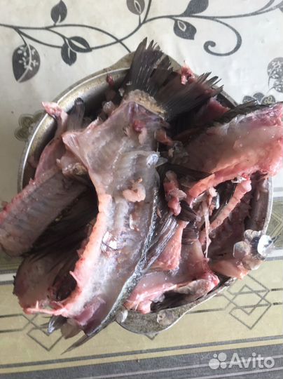 Рыбные кости