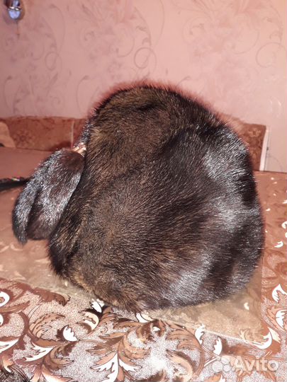 Шапка женская меховая