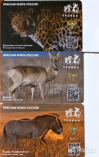 Транспортные карты Красная книга России