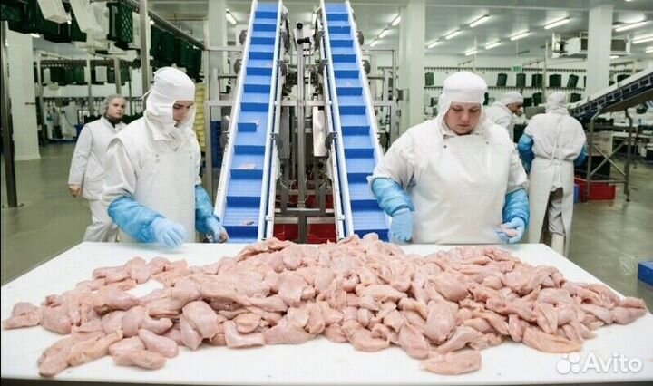 Работа разнорабочим на мясокомбинате(Вахта)