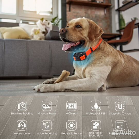 Gps ошейник для собак новый