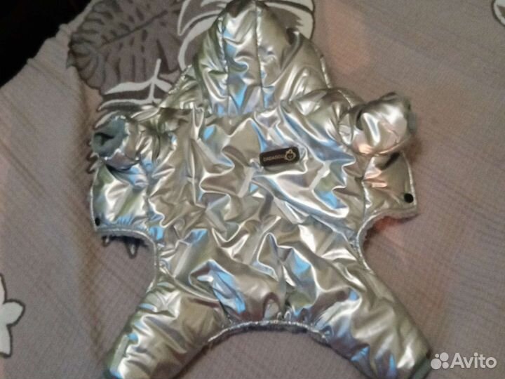 Одежда для животных