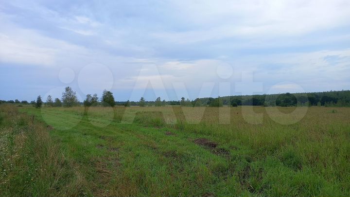 Участок 68 га (СНТ, ДНП)