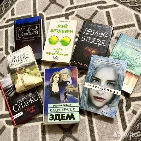 Книги / Спаркс, Брэдбери, Девушка в поезде