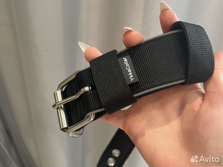 Ошейник для собак