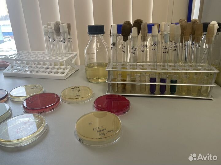 Репетитор по химии,физике,биологии/решение работ