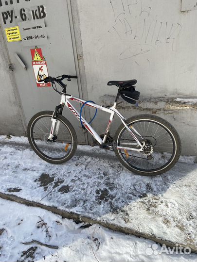 Аренда Велосипедов