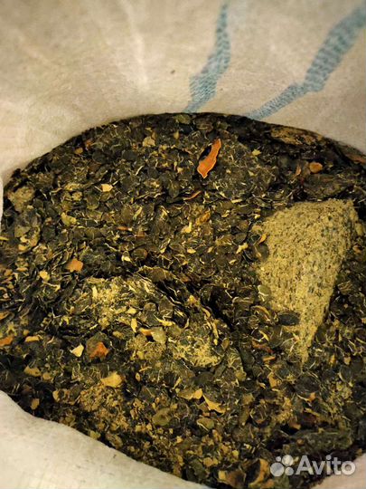 Жмых семян тыквы штирийской голосеменной