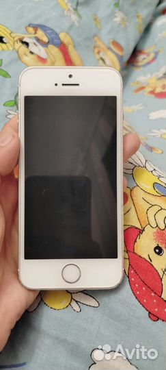 Телефон iPhone 5s