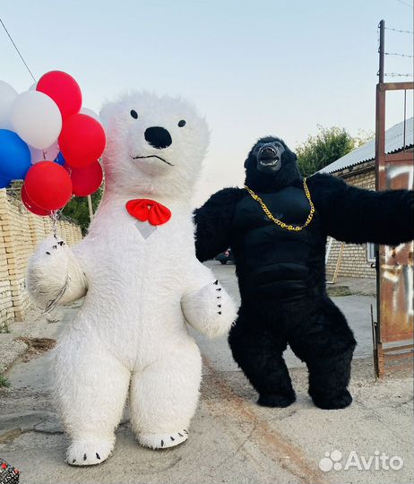 Белый мишка Горилла Тедди Котик Поздравление