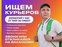 Курьер / Выплаты каждый день