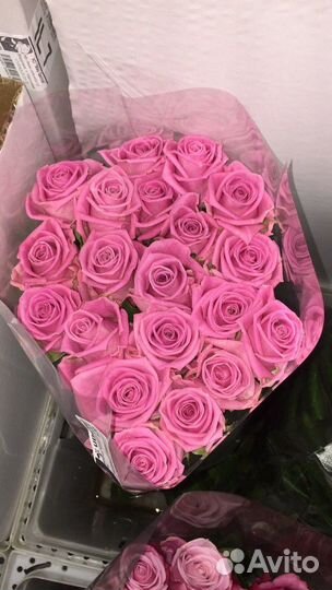 Розы оптом от 1 шт