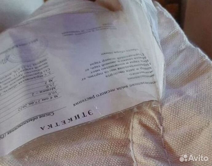 Семена / Лиственница сибирская