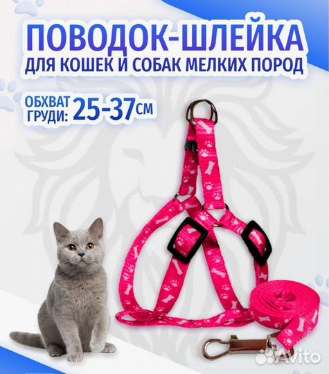 Поводок + шлейка для кошек и собак мелких пород