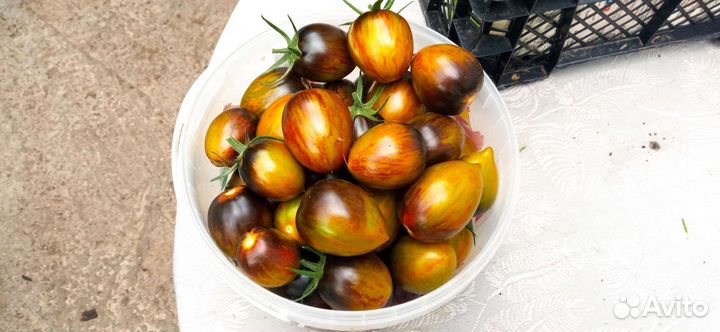 Семена коллекционных томатов