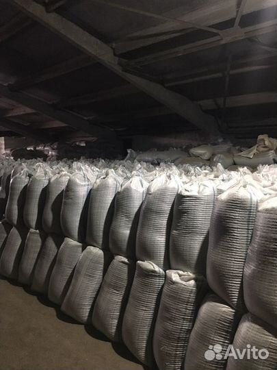 Семена люцерны