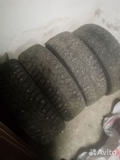 Nokian Tyres Hakkapeliitta 5 195/65 R15