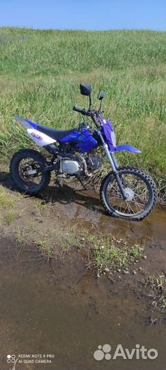 Питбайк 125 кубов