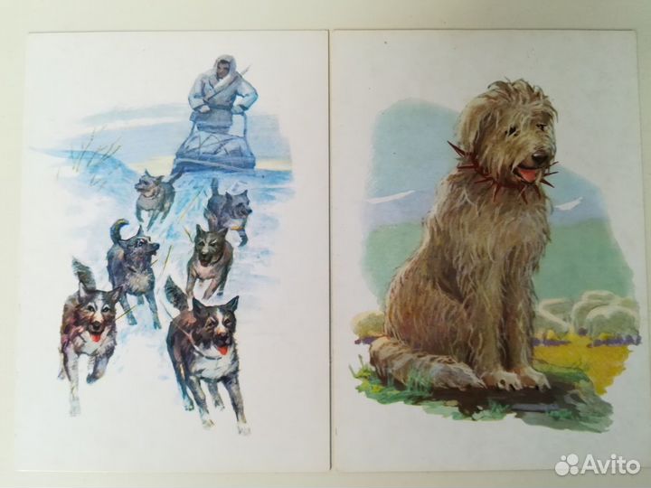 Милиционер открытка 1972 года