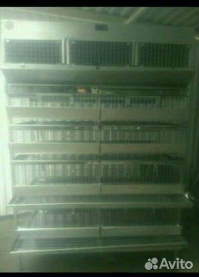 Клетка для перепелов Большая семья