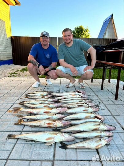 Рыбалка с гидом/Panoptix LVS 34