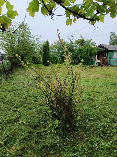 Дача 60 м² на участке 6,2 сот.