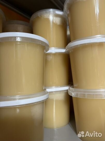 Мед Рапсовый урожай 2023