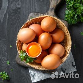 Домашние куриные яйца