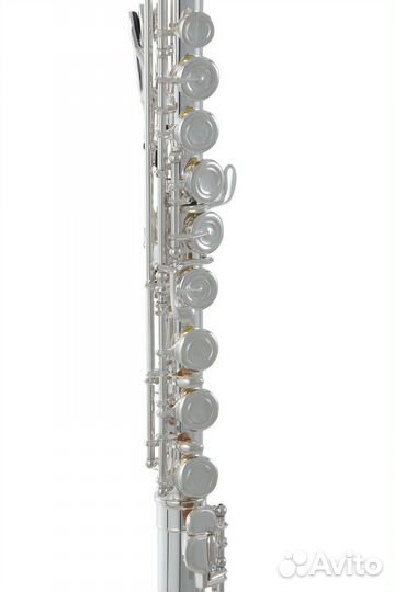 Флейта Roy Benson FL-602E