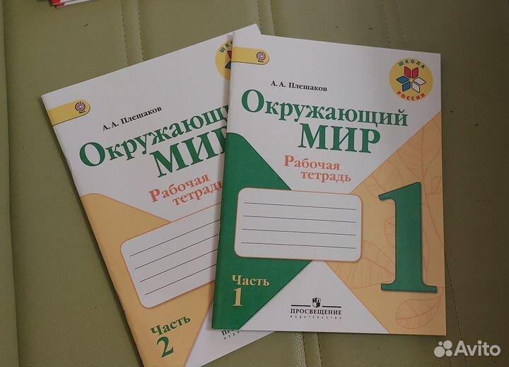 Окружающий мир 1 класс рабочая тетрадь