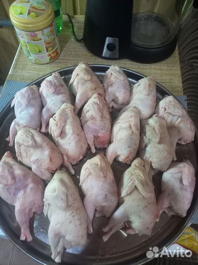 Перепелиное мясо