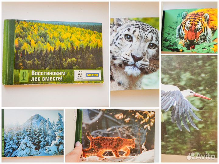 Открытки новые лес животные
