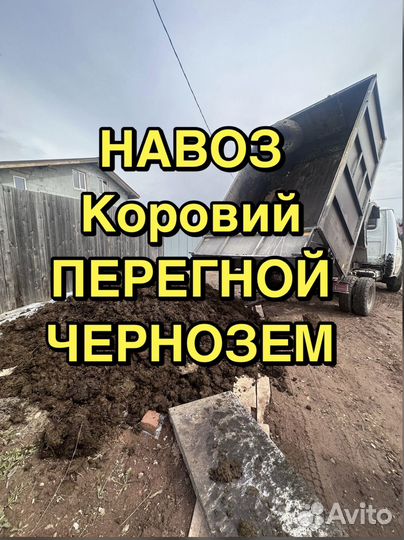 Навоз коровий