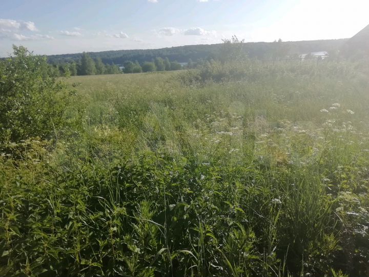 Участок 40 сот. (ИЖС)