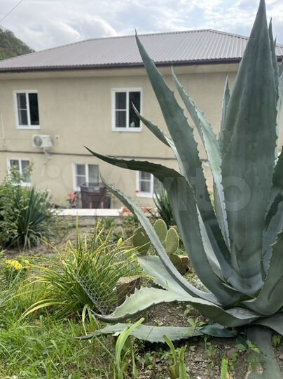 Дом 207 м² на участке 7 сот.