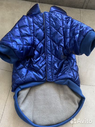 Зимний комбинезон для собаки