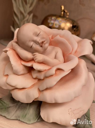 Младенец в розе